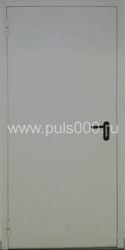 Железная противопожарная дверь ПР-674 покрас нитроэмалью, цена 19 500  руб.